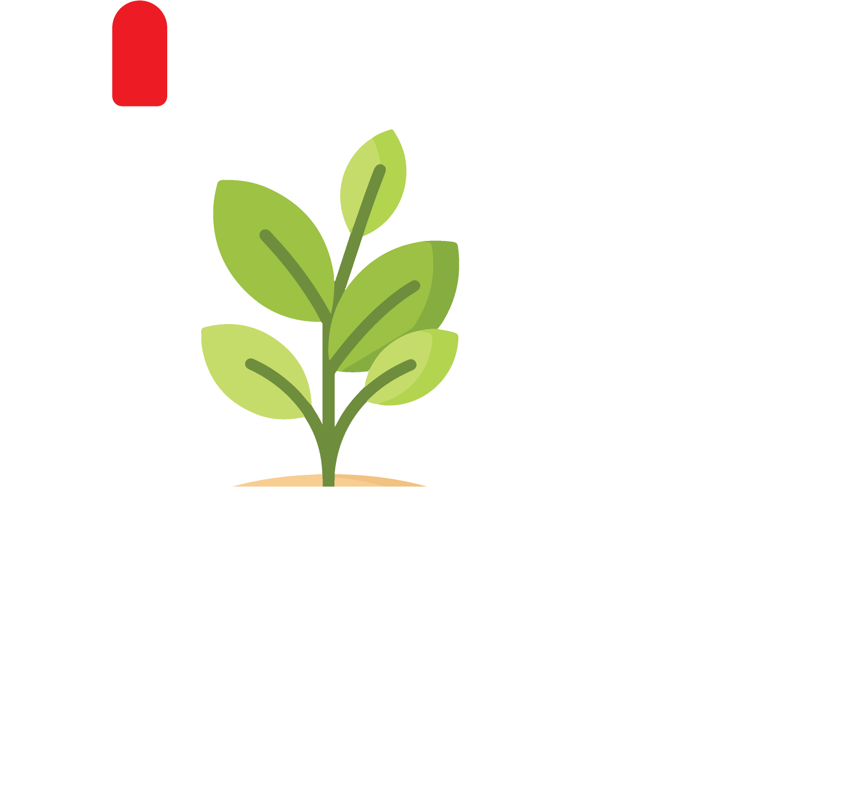 IoT & Robotics